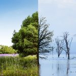 Aquae.org